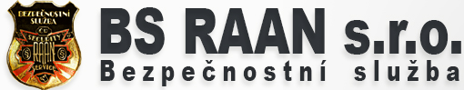 Primary Raster logo
